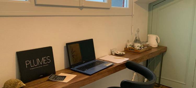 白色十字酒店(La Croix Blanche)图片