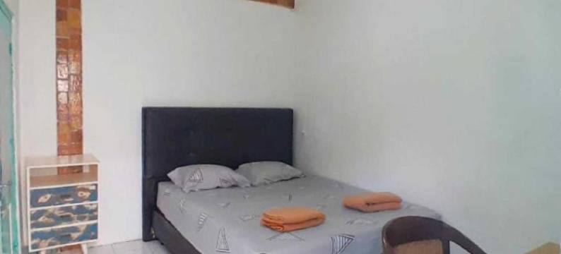 劳拉背包客523旅馆(Laura's Backpacker 523)图片