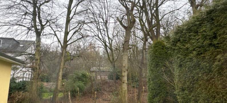 梅库尔伽尼酒店(Hotel Merkur Garni)图片