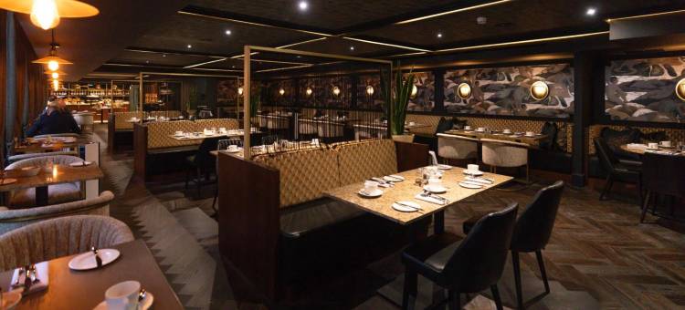 哥谭酒店纽卡斯尔(Hotel Gotham Newcastle)图片