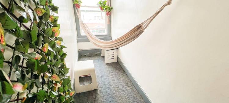 ITH贺茂沙海滩冲浪旅舍-LAX(ITH Hermosa Beach Surf Hostel LAX)图片