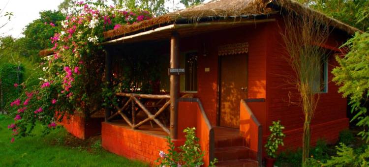 桑德班虎营度假村(Sunderban Tiger Camp)图片