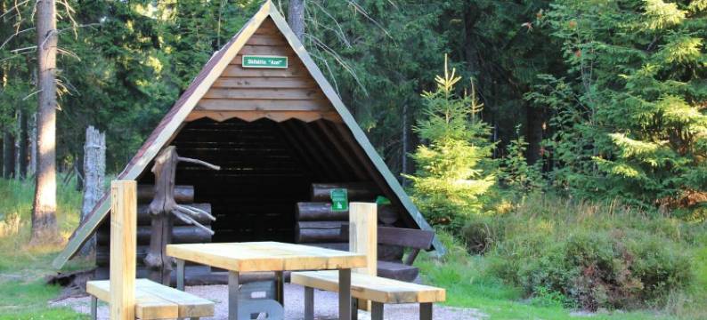 费里恩公园公寓饭店(Konsumhotel am Park)图片