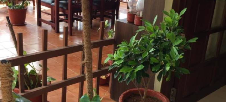 海洋公寓海滩度假村(The Ocean Park Beach Resort)图片