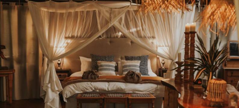 蜜森小屋旅馆(Honeywood Forest Lodge)图片