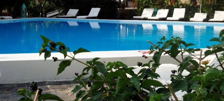 克里特岛乡村公寓式酒店(Cretan Village Hotel)图片