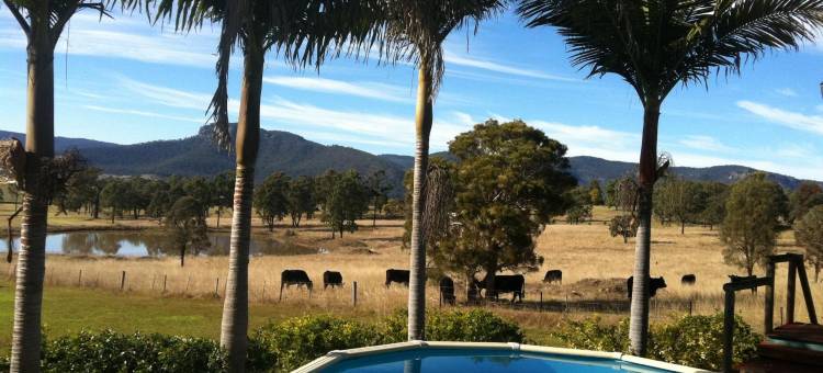 斯塔林羊驼农场住宿度假酒店(Starline Alpacas Farmstay Resort)图片