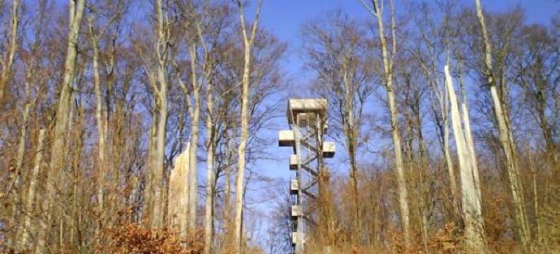 盖斯特霍夫酒店(Gasthof Postkutsche)图片