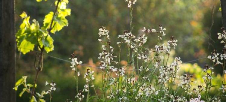 派罗亚家庭旅馆(Paeroa Bed and Breakfast)图片