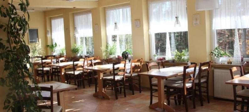 瓦尔德多夫潘森酒店(Pension Walddorf)图片