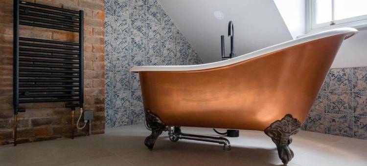 羊和企鹅(The Sheep and Penguin)图片