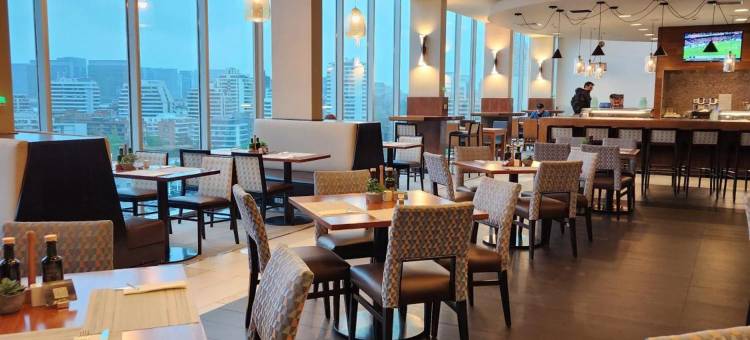 圣地亚哥比塔库拉凯悦嘉轩酒店(Hyatt Place Santiago/Vitacura)图片