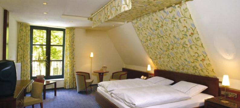 托绅克酒店(Hotel Domschenke)图片