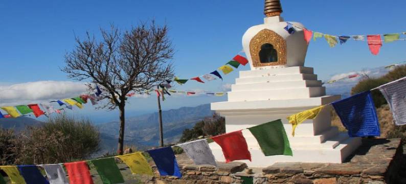 拉斯维加斯特拉萨斯德拉阿尔普哈拉乡村旅馆(Hostal Rural Las Terrazas de la Alpujarra)图片