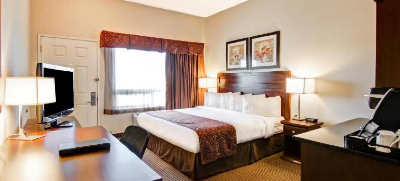 特斯达乐卡纳尔塔酒店(Canalta Hotel Tisdale)图片