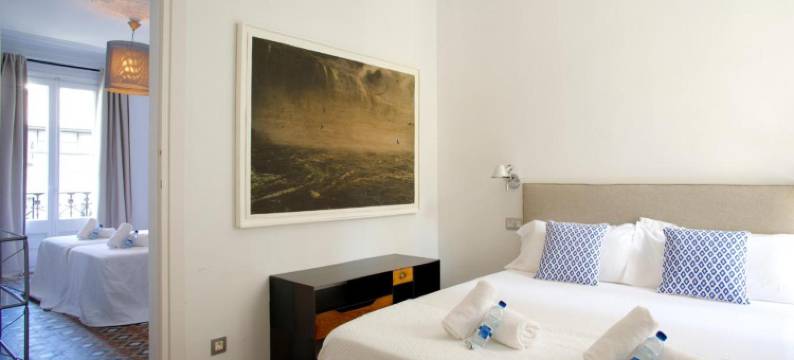 巴塞罗那佛罗特克拉丽斯套房酒店(BarcelonaForRent the Claris Suites I)图片