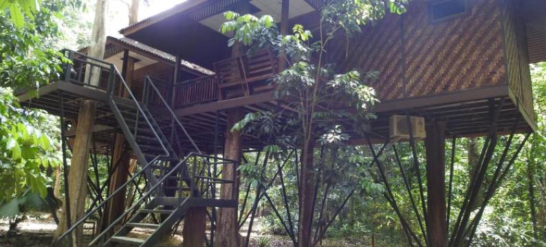 考索自然度假村(Khao Sok Nature Resort)图片