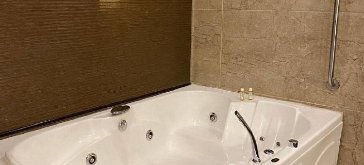 斯里纳格福朋喜来登酒店(Four Points by Sheraton Srinagar)图片