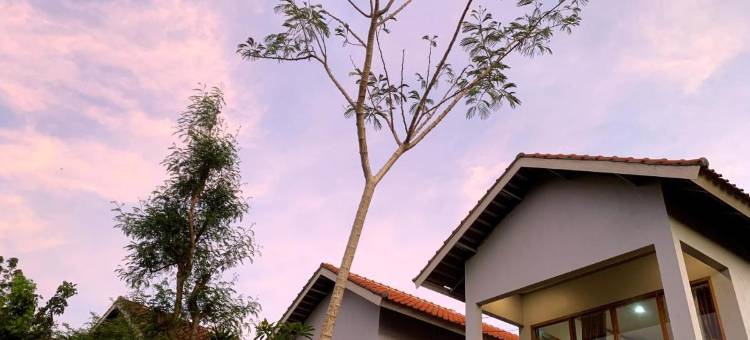 Tommy Homestay图片