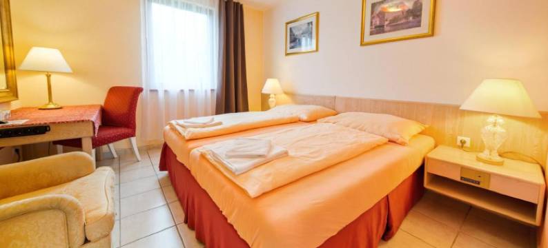 菩提木旅馆(Penzion Putim)图片