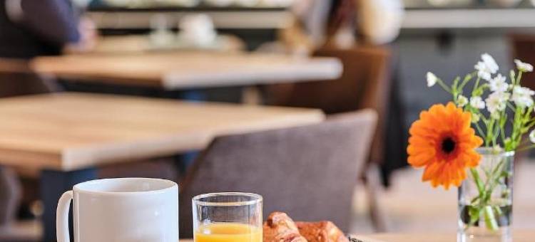 罗吉斯阿罗耶旅馆(Logis Hôtel Restaurant Aloe)图片