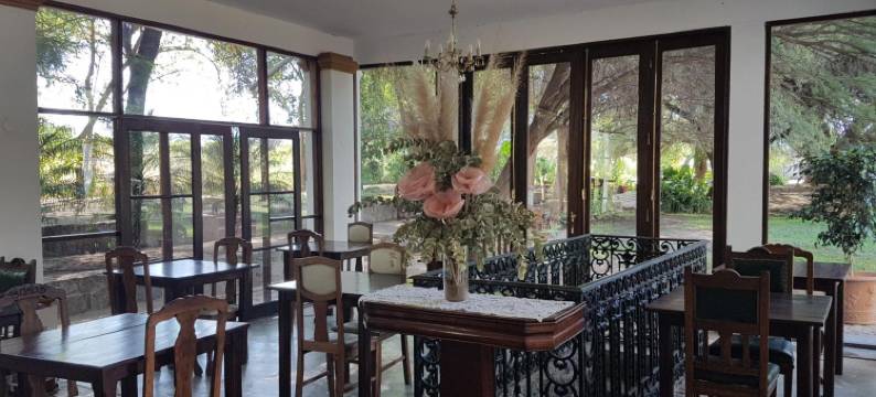 奥利弗旅馆(Posada del Olivo)图片