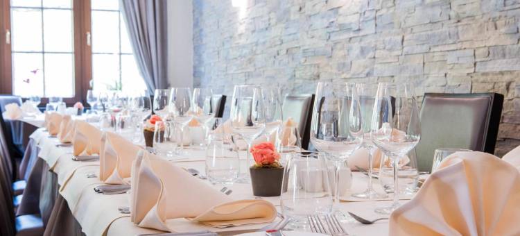 大公国之家(Logis Hotel-Restaurant Dimmer)图片