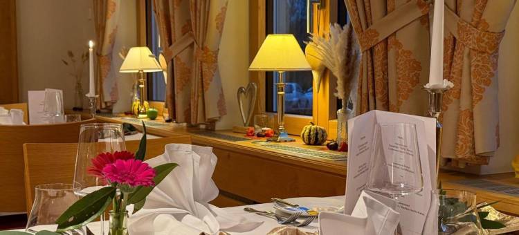 施泰根豪斯乡村酒店(Landhotel Steigenhaus)图片