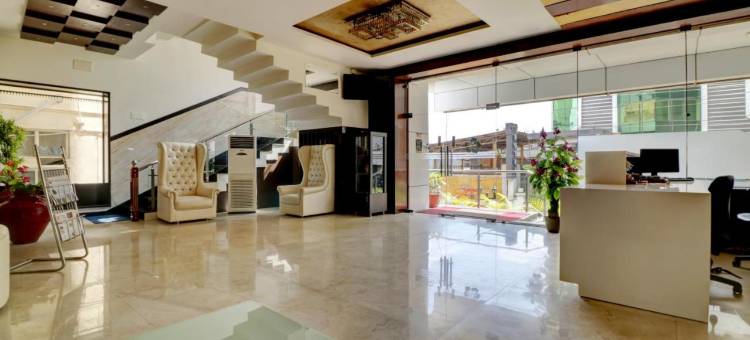 Treebo兰花(Treebo Orchid)图片