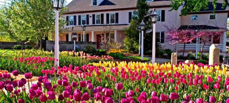 蒙查宁乡村水疗酒店-美国历史酒店(The Inn at Montchanin Village)图片