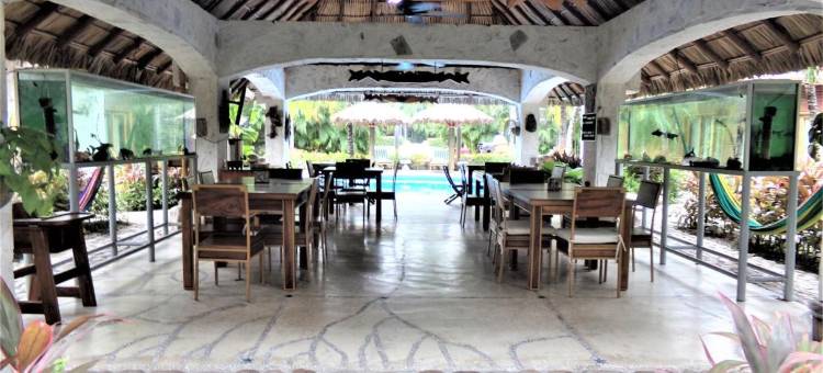 酒店 Casa del Lirio Diamante(Hotel Casa de Lirio Diamante)图片