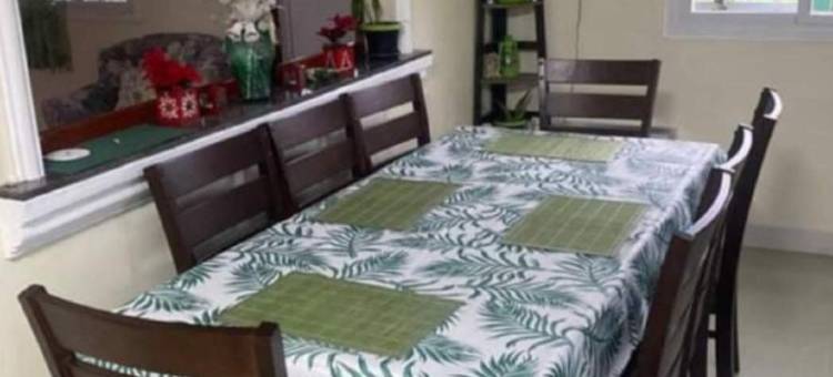 The Green House图片