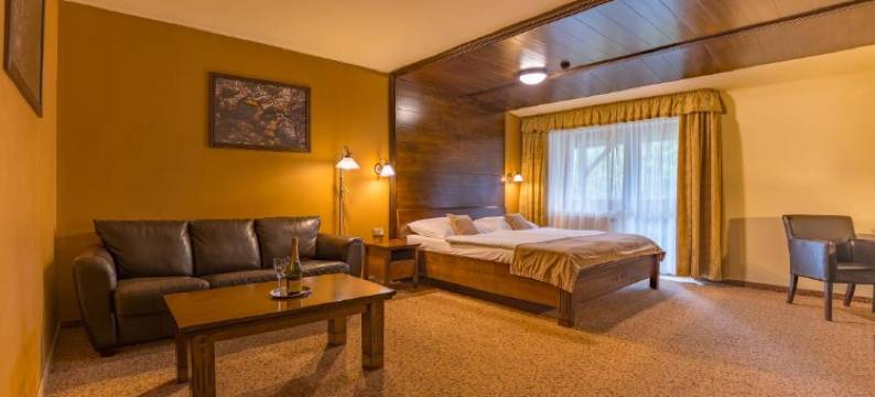 波罗维卡养生酒店(Aplend Wellness Hotel Borovica)图片