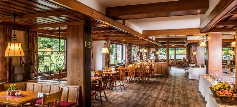 苏尔地阿尔平酒店(Sauerland Alpin Hotel)图片