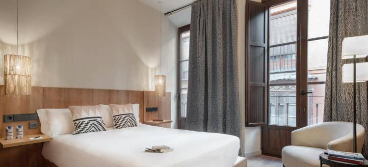 格拉纳达托克青年旅馆(Toc Hostel Granada)图片