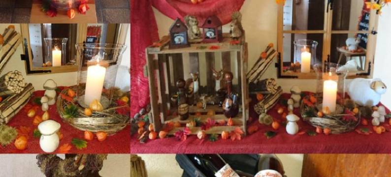 奥克森宾馆(Gasthaus Zum Ochsen)图片