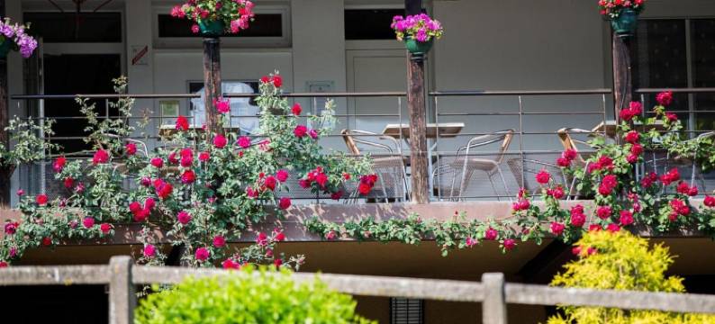 贝尔维餐厅酒店(Logis Hôtel Belle Vue)图片