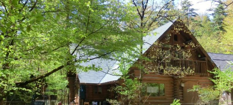 加拿大木屋旅馆安昙野游人酒店(Canadian Loghouse Inn AzuminoYujin)图片