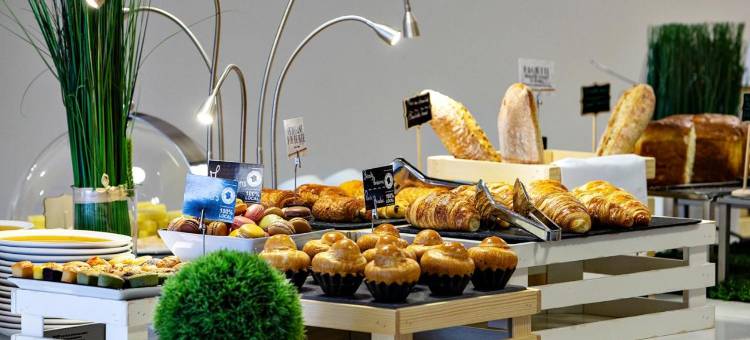 巴黎瓦格拉蒂凡尔赛门美居酒店(Hôtel Mercure Paris Vaugirard Porte de Versailles)图片