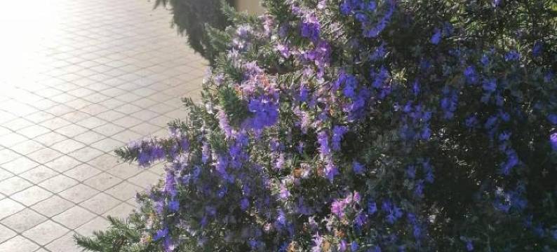 诗人的修道院(Eremo dei Poeti Albergo Diffuso)图片