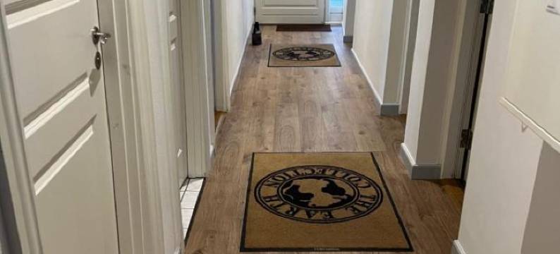 达瓦的民宿(Davaa's Bed & Breakfast)图片