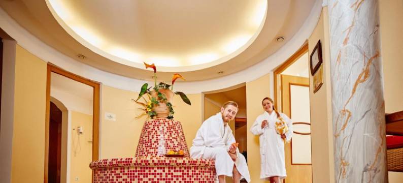 巴耶瓦德住宅阿肯森特酒店(AKZENT Hotel Bayerwald-Residenz)图片