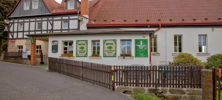 乌泽林尼奥斯特罗姆酒店(Hotel U Zeleného Stromu - Zum Grünen Baum)图片