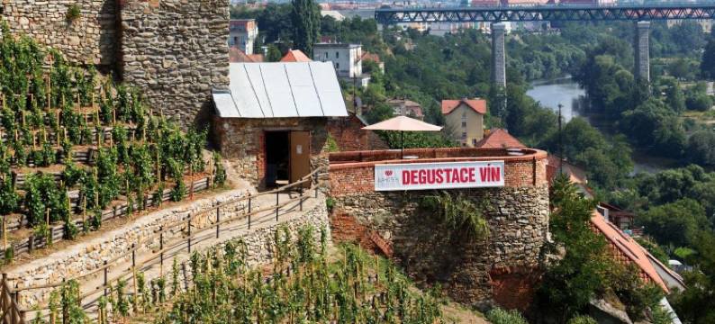 拉霍菲酒店(Hotel Lahofer)图片