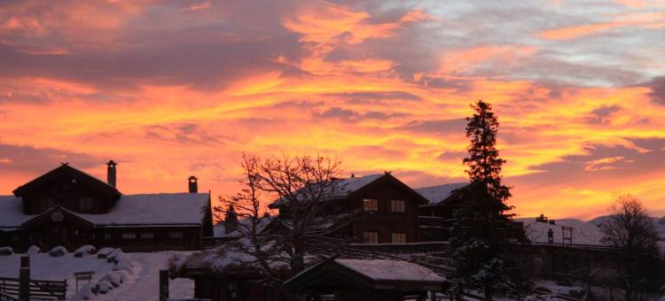 朗德拉格自然公园酒店(Langedrag Naturpark)图片