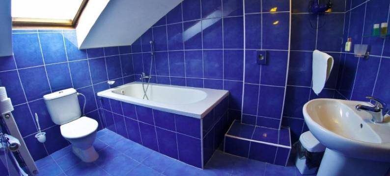 兹拉塔斯特奥普酒店(Hotel Zlatá Stoupa)图片