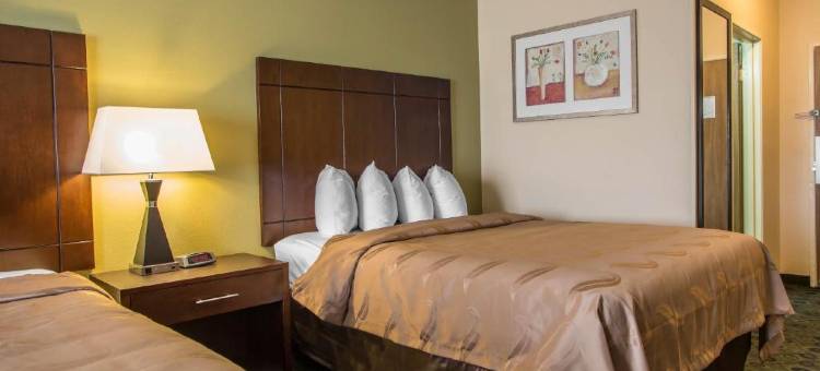 凯艺套房酒店(Quality Inn & Suites Bloomington I-55 and I-74)图片