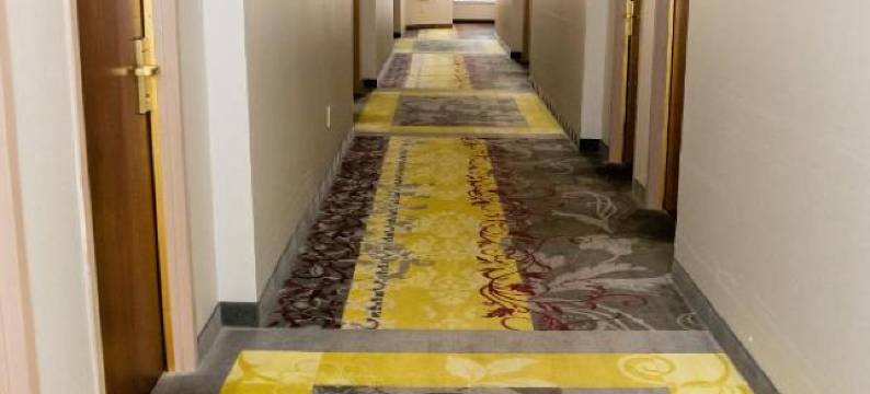 卡彭特大街酒店(Carpenter Street Hotel)图片