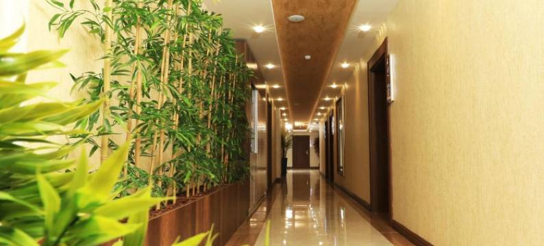 旗帜大酒店(Bayrak Grand Hotel)图片