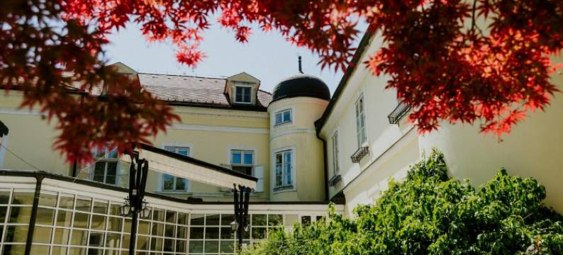 Szidónia Castle图片